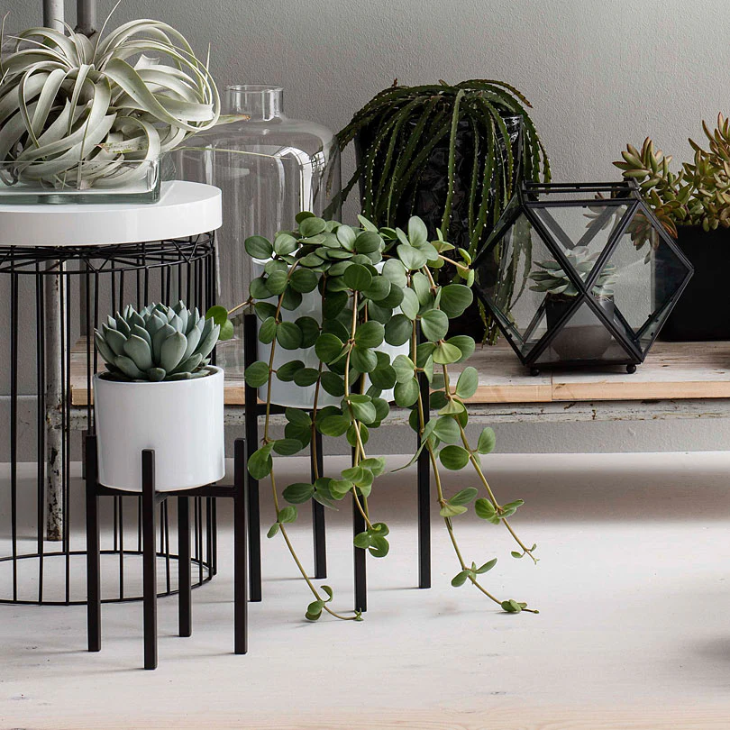 Gazebo Parts Direct Sales Store -Vendite Forniture Da Giardino 46568 01 BAKIE