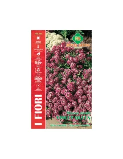 ALISSO NANO VIOLET QUEEN MAXI