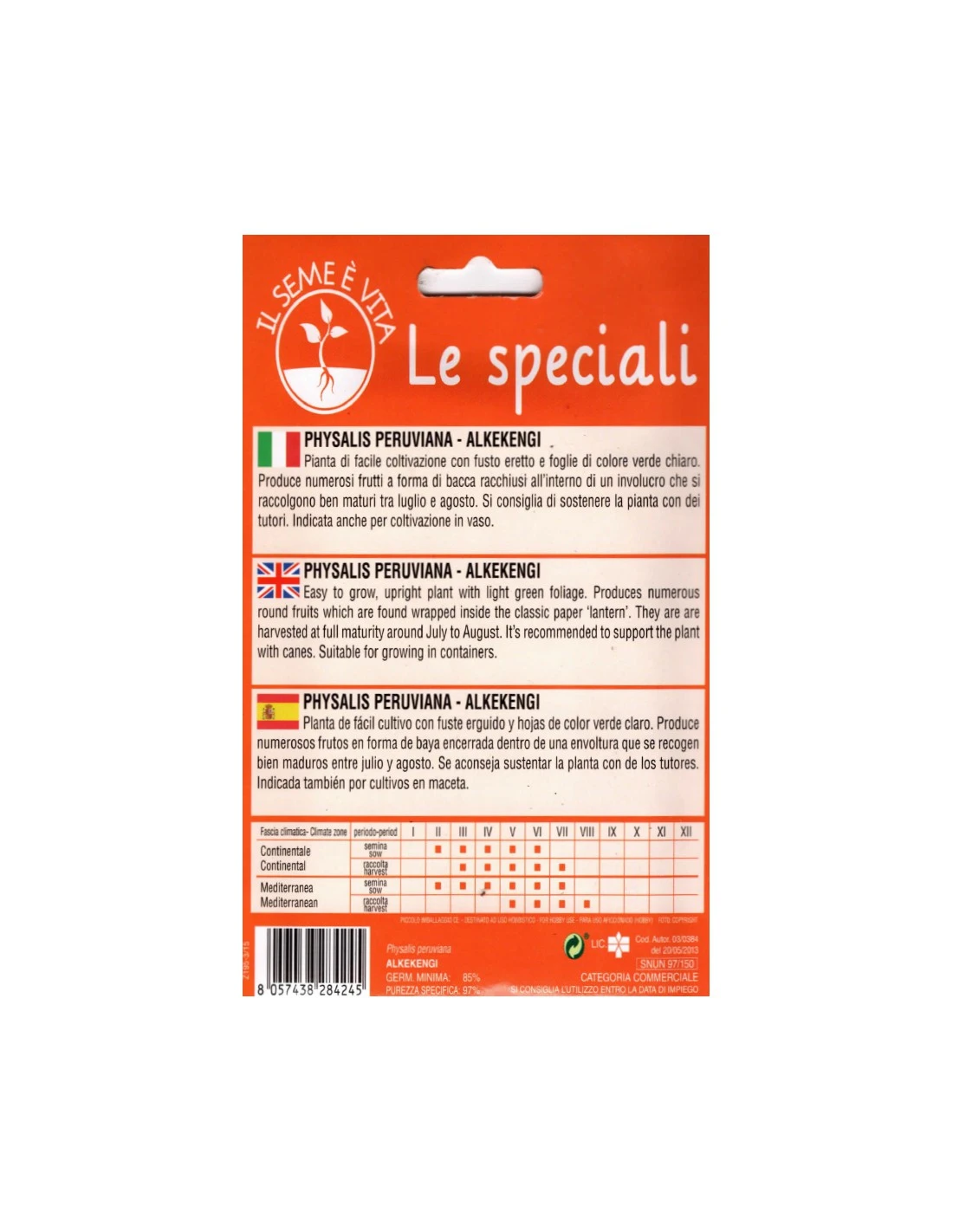 ALKEKENGI 2 ALKEKENGI - immagine 2