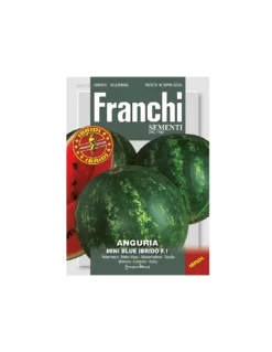 ANGURIA MINI BLUE F1