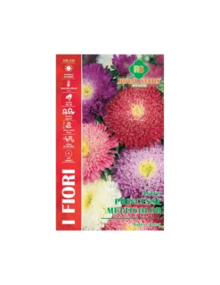 ASTRO PRINCESSE MULTICOLOR MAXI