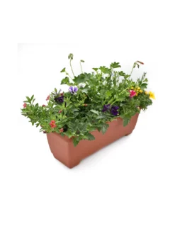 BALCONETTA MAXI PRIMAVERA 50 Cm -Vendite Forniture Da Giardino balconetta mix primavera cm 50 4