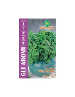 BASILICO FINE VERDE MAXI