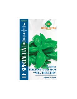 BASILICO IT.CL. TIGULLIO SP