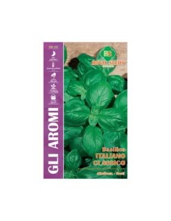 BASILICO ITALIANO CLASSICO MAXI