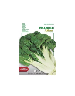 BIETA A COSTA BIANCA