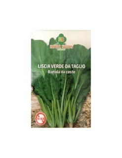 BIETA LISCIA VERDE DA TAGLIO GR 100