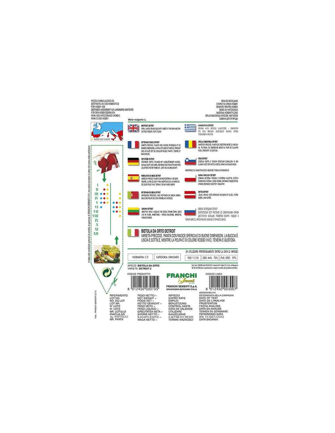 BIETA ORTO DETROIT 2 2 BIETA ORTO DETROIT 2 - immagine 2