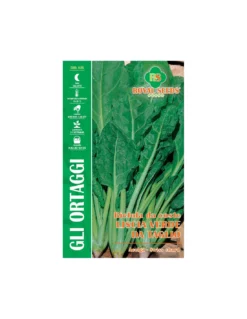 BIETOLA DA C.LISCIA VERDE DA TAGLIO MAXI