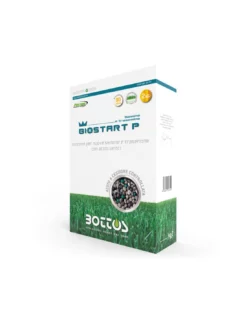 BIO START 12-20-15 SCATOLA KG 2