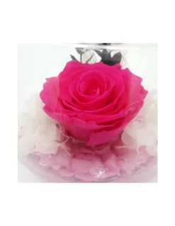 ROSA STABILIZZATA In BOCCIA DI VETRO Diametro 12 Cm - FUCSIA -Vendite Forniture Da Giardino boccia fondo pietra d 12 cm rosa baccara colore fucsia 2