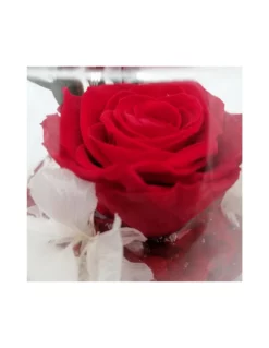 ROSA STABILIZZATA In BOCCIA DI VETRO Diametro 16 Cm - RED -Vendite Forniture Da Giardino boccia fondo pietra diam 16 rosa premium colore rosso 2