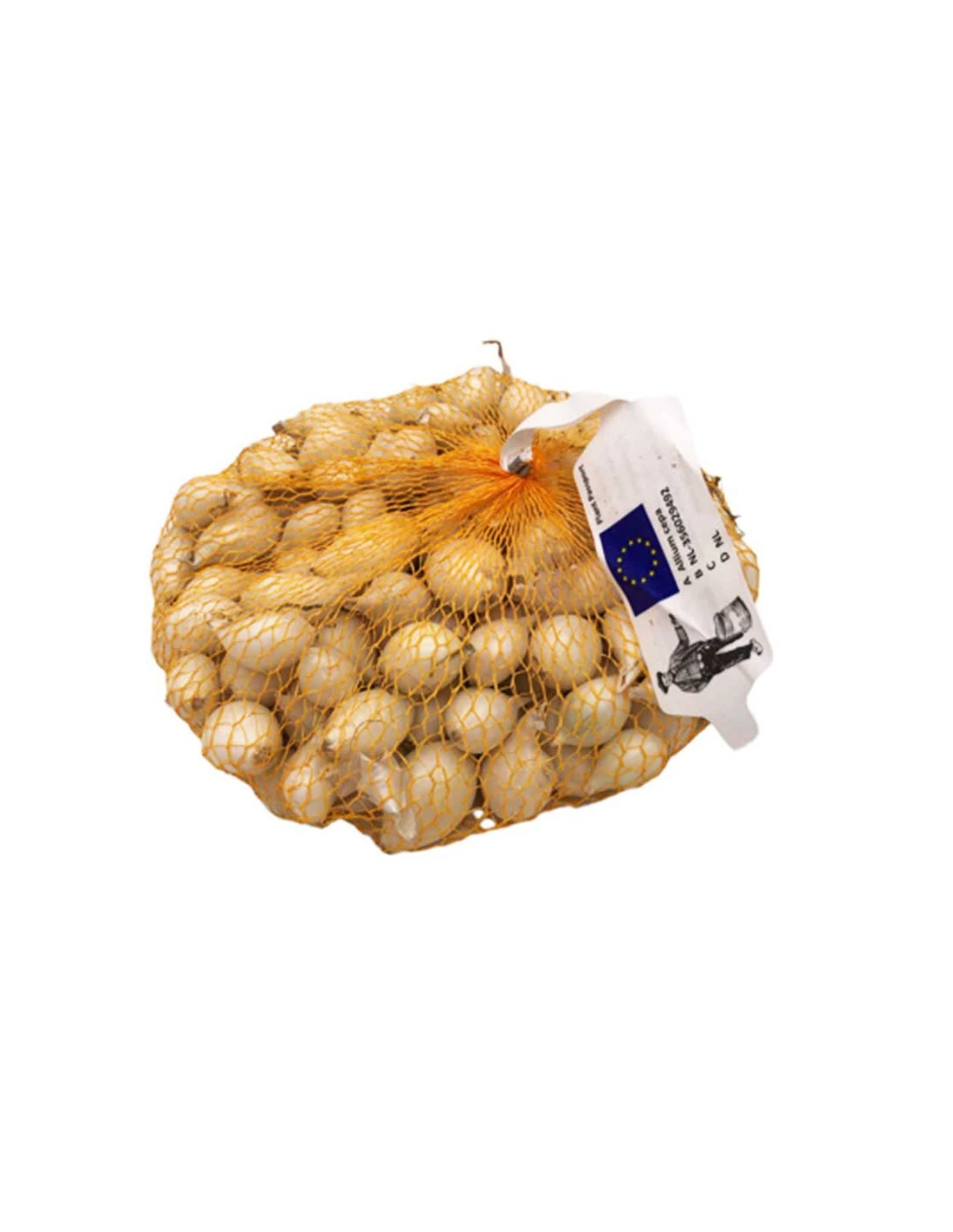 Bulbi Di CIPOLLA BIANCA Confezione Da 500 Grammi 1 Bulbi Di CIPOLLA BIANCA Confezione Da 500 Grammi