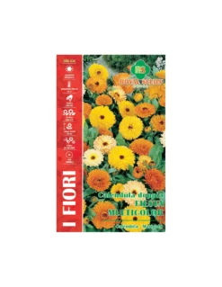 CALENDULA DOPPIA FIESTA MULTICOLOR MAXI