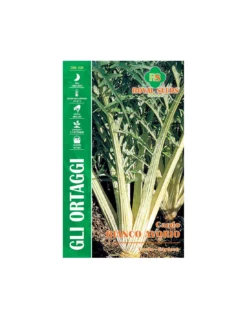 CARDO BIANCO AVORIO MAXI