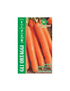 CAROTA NANTES 2 MAXI