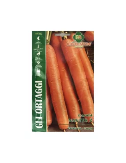 CAROTA NANTES 2 RYST