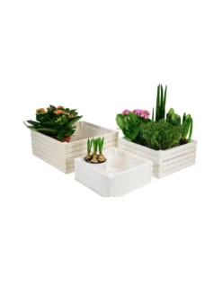 CASSETTINA LEGNO CUBO (PER 4) 30X30X13,5CM INSIDE