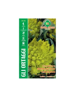 CAVOLFIORE ROMANESCO NATALINO MAXI