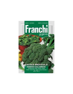 CAVOLO BROCCOLETTO RAMOSO CALABRESE