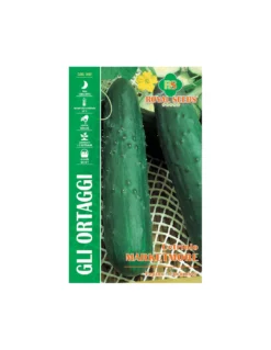 CETRIOLO MARKETMORE MAXI