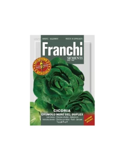 CICORIA GRUMOLO NERO DUPLEX