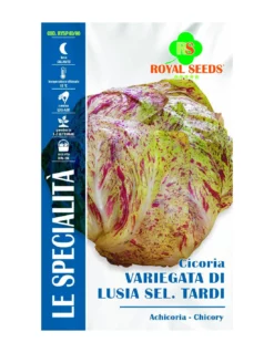 CICOR.VAR.LUSIA S.TARDI SP