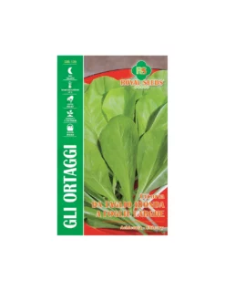 CIC. DA T. BIONDA A FOGLIE LARGHE MAXI