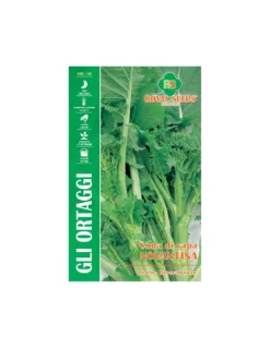 CIMA DI RAPA NOVANTINA(F.LISCIA)MAXI