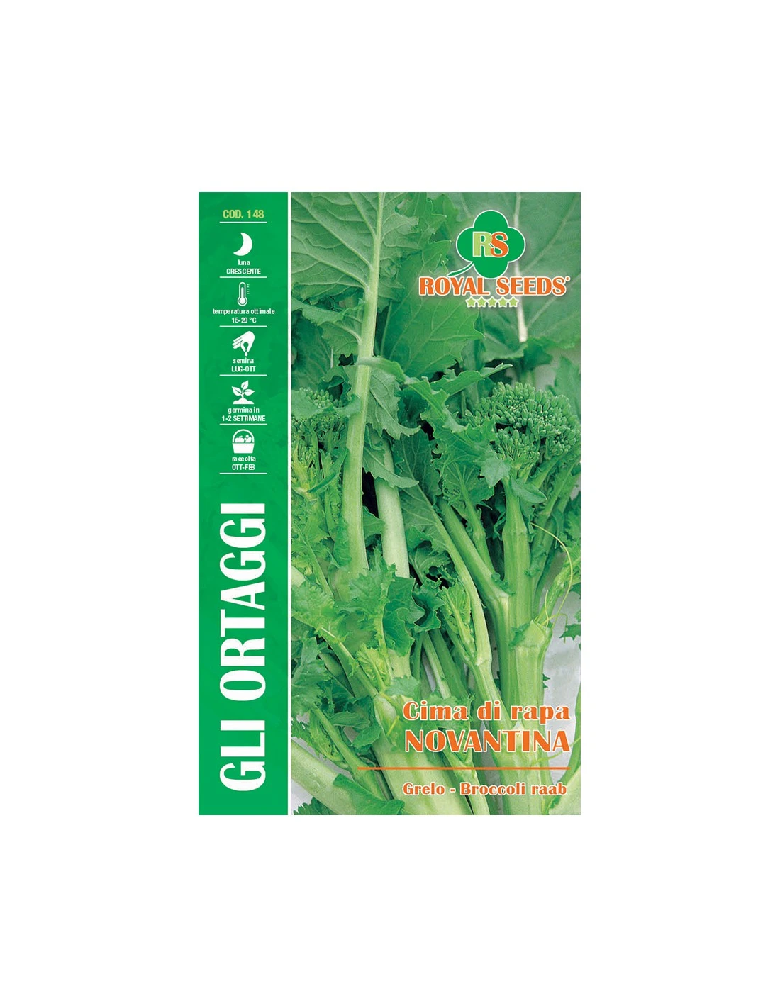 CIMA DI RAPA NOVANTINA(F.LISCIA)MAXI 1 CIMA DI RAPA NOVANTINA(F.LISCIA)MAXI