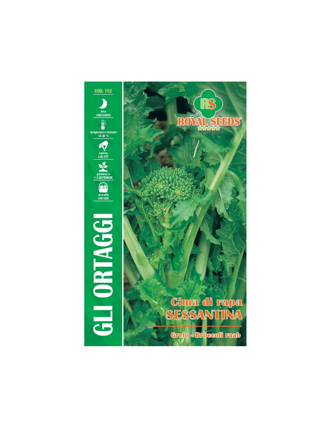 CIMA DI RAPA SESSANTINA(F.LISCIA)MAXI 1 CIMA DI RAPA SESSANTINA(F.LISCIA)MAXI