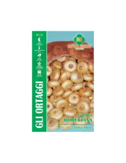 CIPOLLA BORETTANA MAXI
