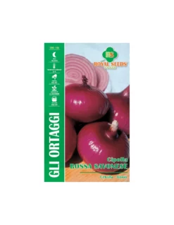 CIPOLLA ROSSA SAVONESE MAXI