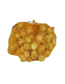 CIPOLLA STOCCARDA 16/21 GR 500