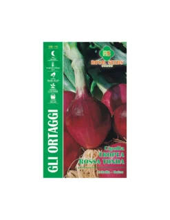 CIPOLLA TROPEA ROSSA TONDA MAXI