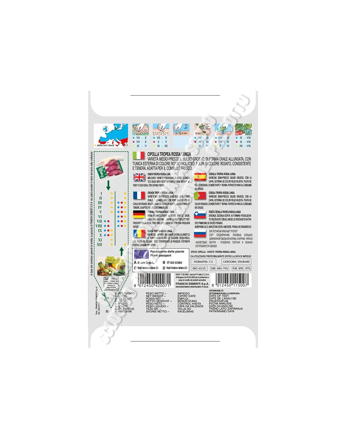 CIPOLLA TROPEA LUNGA 2 CIPOLLA TROPEA LUNGA - immagine 2