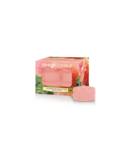 Yankee Candle CLASSIC SCENTED TEA LIGHT "APRICOT ROSE"