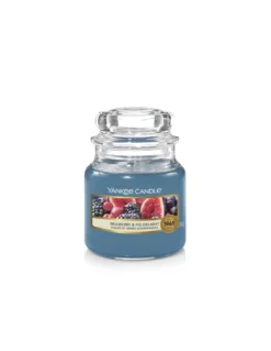 Yankee Candle CLASSIC SMALL JAR "MULBERRY & FIG DELIGHT"