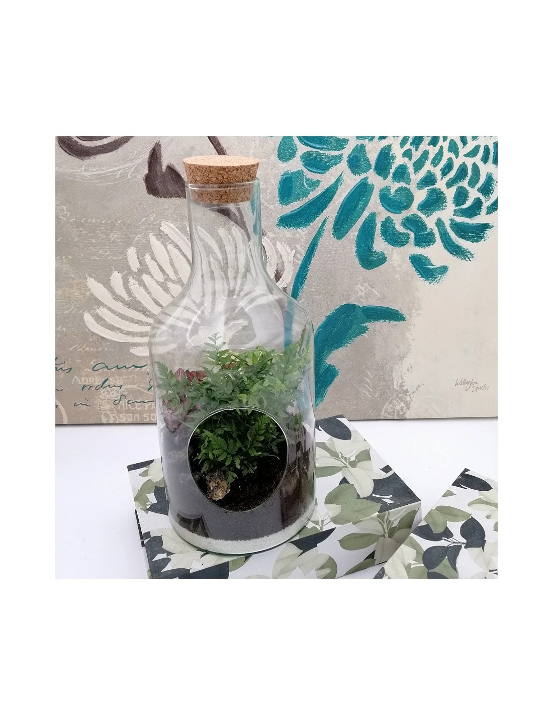 TERRARIUM IN BOLLA DI VETRO 2 TERRARIUM IN BOLLA DI VETRO - immagine 2