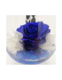 ROSA STABILIZZATA In COPPA DI VETRO Diametro 12 Cm - BLUE -Vendite Forniture Da Giardino coppa cognac fondo pietra h 14 d 12 rosa baccara scatola trasparente co 2