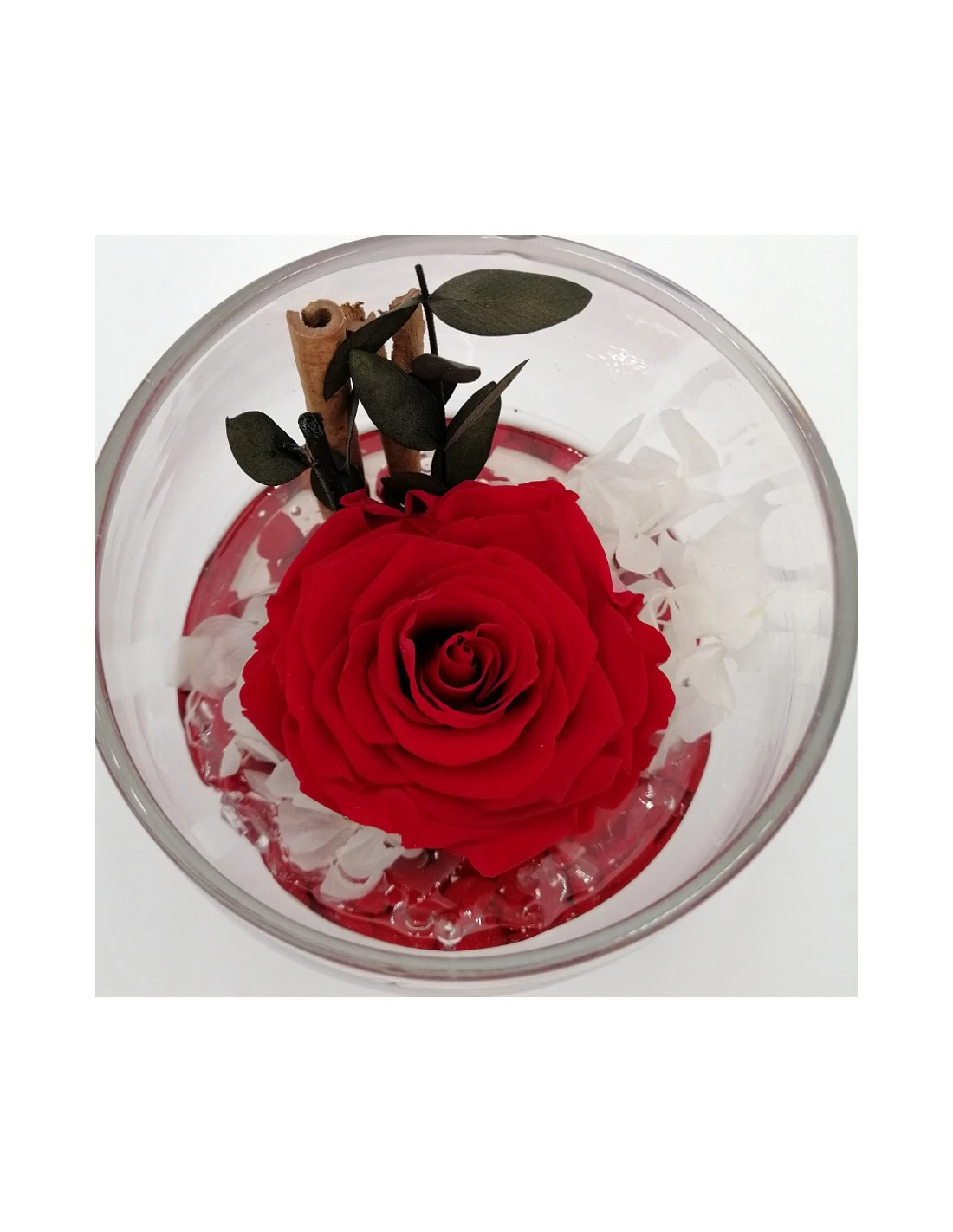 ROSA STABILIZZATA In COPPA DI VETRO Diametro 12 Cm - RED 2 ROSA STABILIZZATA In COPPA DI VETRO Diametro 12 Cm - RED - immagine 2