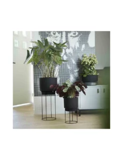 Elho COPRIVASO B.FOR STUDIO ROUND LIVING BLACK -Vendite Forniture Da Giardino coprivaso bfor studio round living black 2