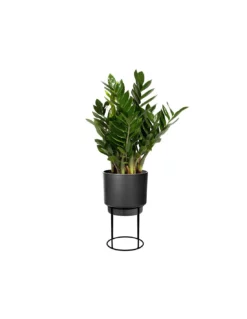 Elho COPRIVASO B.FOR STUDIO ROUND LIVING BLACK -Vendite Forniture Da Giardino coprivaso bfor studio round living black 3