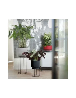Elho COPRIVASO B.FOR STUDIO ROUND LIVING BLACK -Vendite Forniture Da Giardino coprivaso bfor studio round living black 4