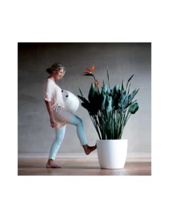 Elho COPRIVASO BRUSSELS ROUND WHEELS ANTHRACITE -Vendite Forniture Da Giardino coprivaso brussels round wheels anthracite 5