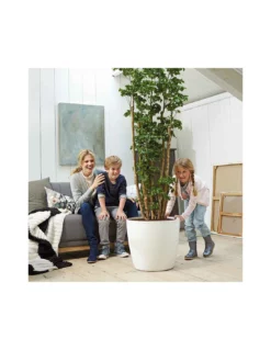 Elho COPRIVASO BRUSSELS ROUND WHEELS ANTHRACITE -Vendite Forniture Da Giardino coprivaso brussels round wheels anthracite 6