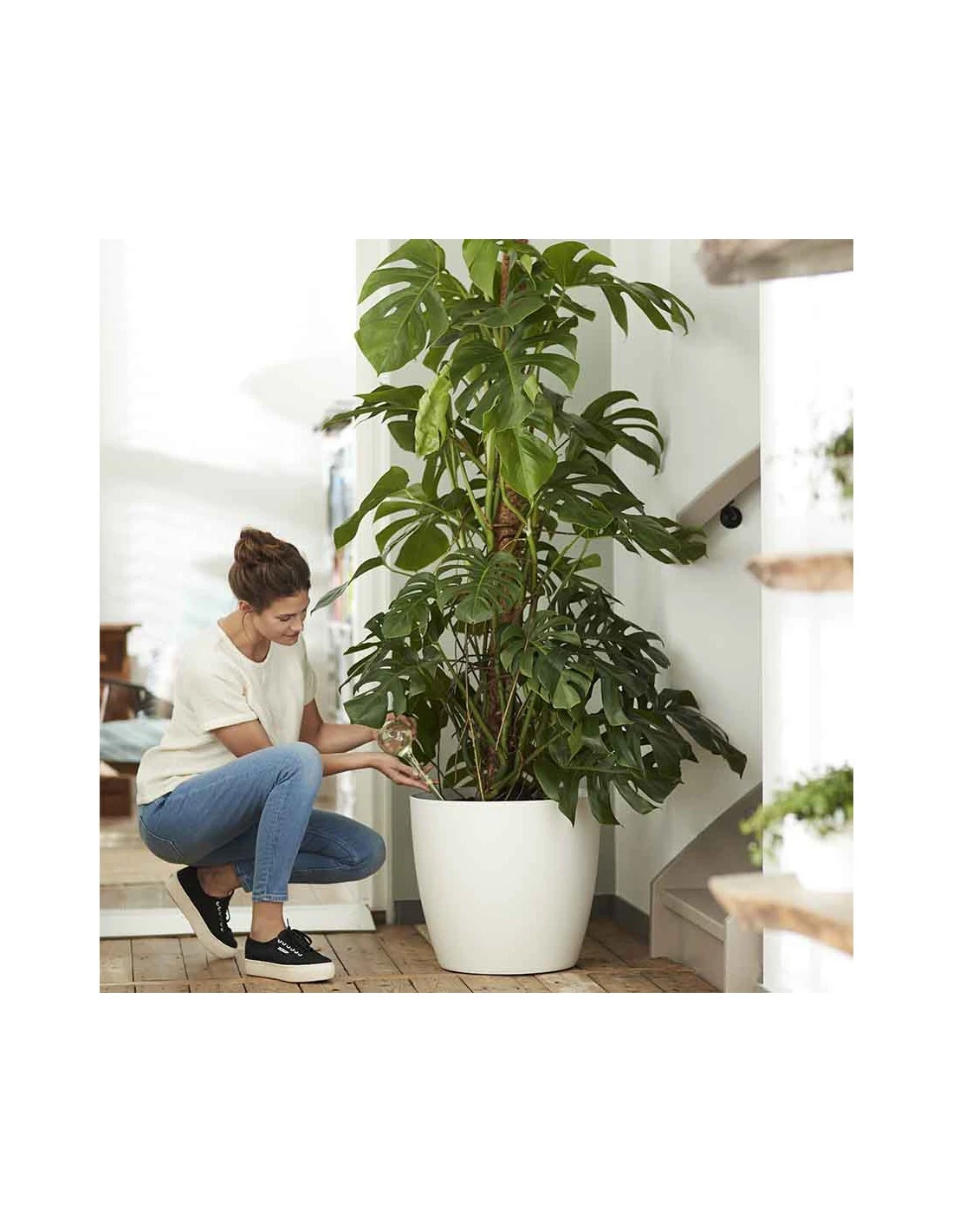 Elho COPRIVASO BRUSSELS ROUND WHEELS WHITE 3 Elho COPRIVASO BRUSSELS ROUND WHEELS WHITE - immagine 3