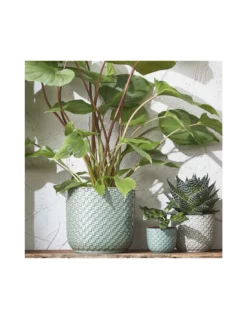 COPRIVASO CERAMICA DAAN PINK - H20,5XD21,5 Cm -Vendite Forniture Da Giardino coprivaso ceramica daan pink h205xd215 cm 2