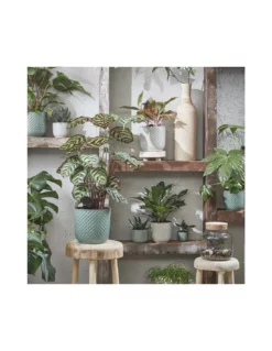 COPRIVASO CERAMICA DAAN PINK - H20,5XD21,5 Cm -Vendite Forniture Da Giardino coprivaso ceramica daan pink h205xd215 cm 3