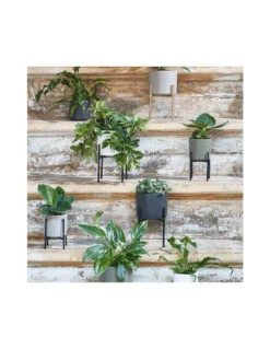 COPRIVASO CERAMICA ERA RELIEF WHITE - H17,5XD19,5 Cm -Vendite Forniture Da Giardino coprivaso ceramica era relief white h175xd195 cm 2